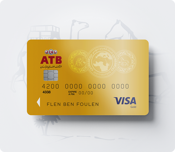 Visa Gold Survol