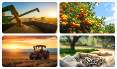 agriculture